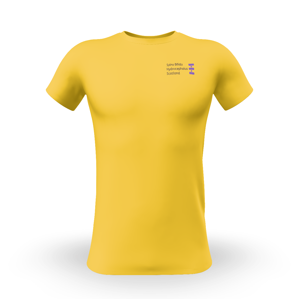 Snapshot for Maize yellow