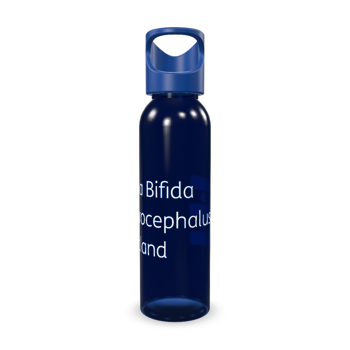 Snapshot for Royal Blue