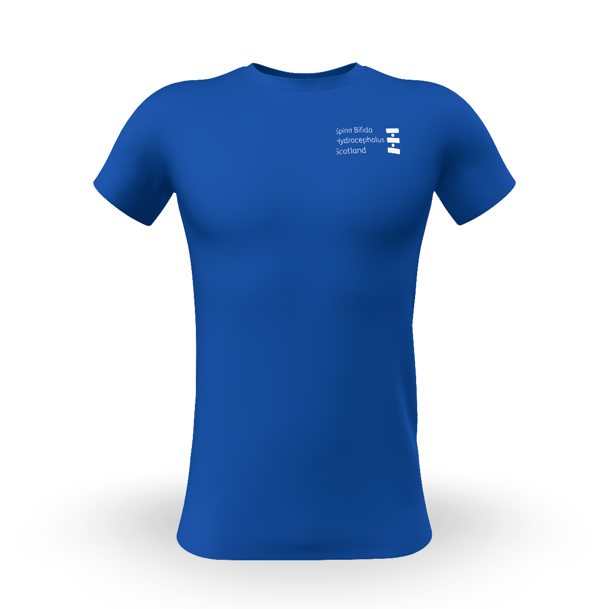 Snapshot for Royal blue
