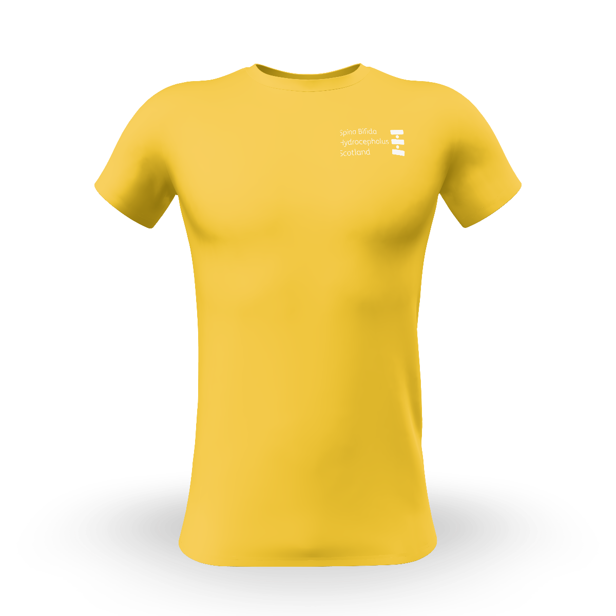 Snapshot for Maize yellow